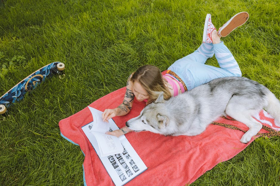 Fahren mit Hunden auf Zügen