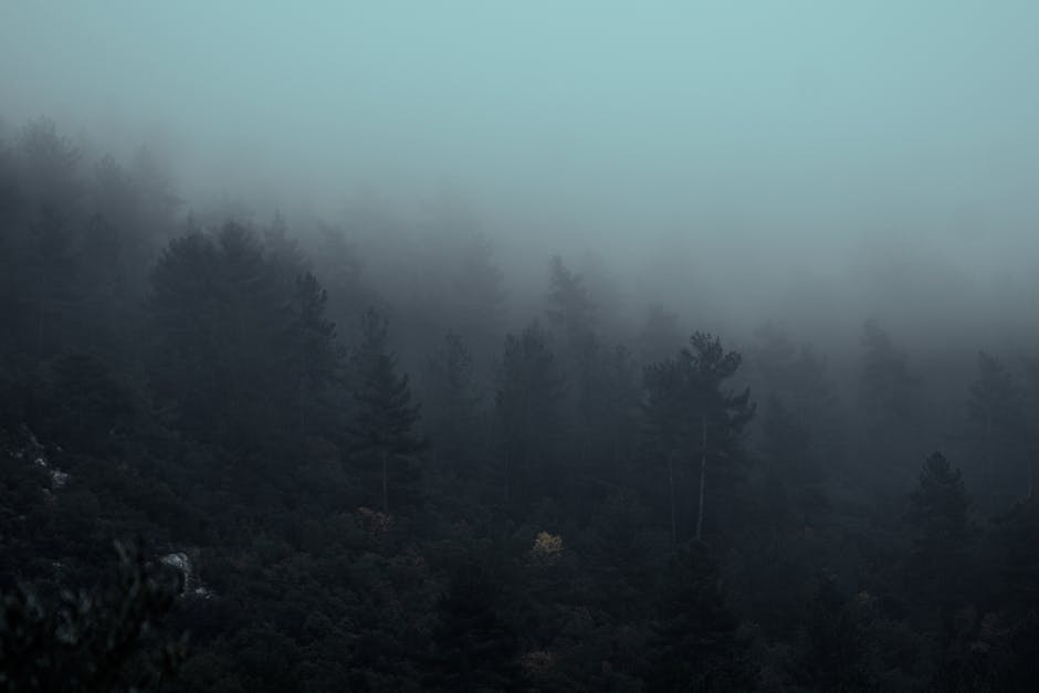 Nebelexperte erklärt die besten Tipps und Strategien zu schnellem Fahren im Nebel