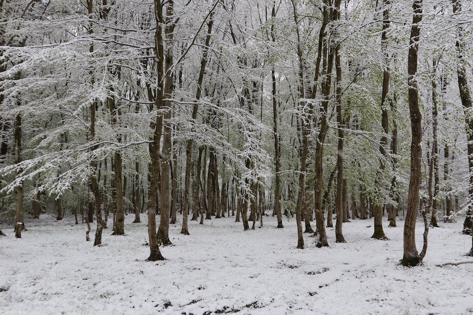  Höchstgeschwindigkeit beim Fahren mit Schneeketten