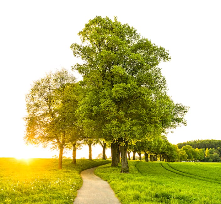  Höchstgeschwindigkeit auf einem Feldweg