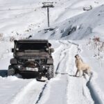 Winterreifen und die zulässige Höchstgeschwindigkeit