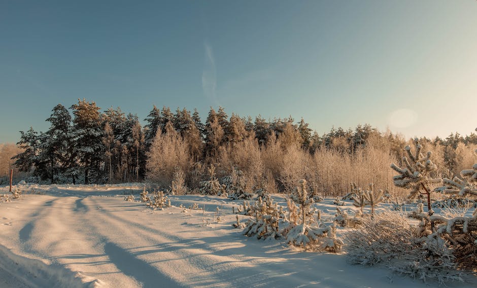  max. Geschwindigkeit beim Fahren mit Schneeketten